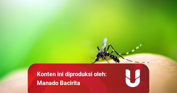 Waspada Nyamuk  DBD Bisa Berkembang  Biak di  Dalam Rumah 